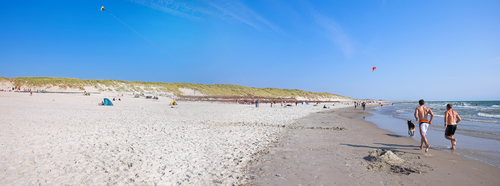 Beach Sceen